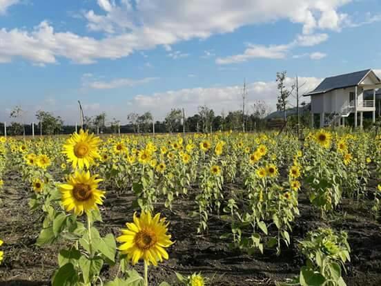 Baan Suan Geb Tawan Lop Buri Exterior foto